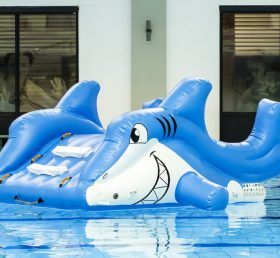 WG1-008 Shark Inflatable Thể thao dưới nước Công viên Bể bơi Trò chơi