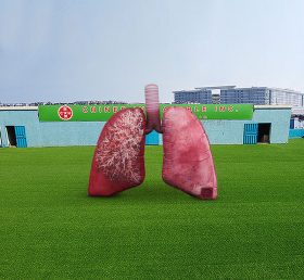 S4-533 Mô hình tim phổi của hệ thống hô hấp bơm hơi